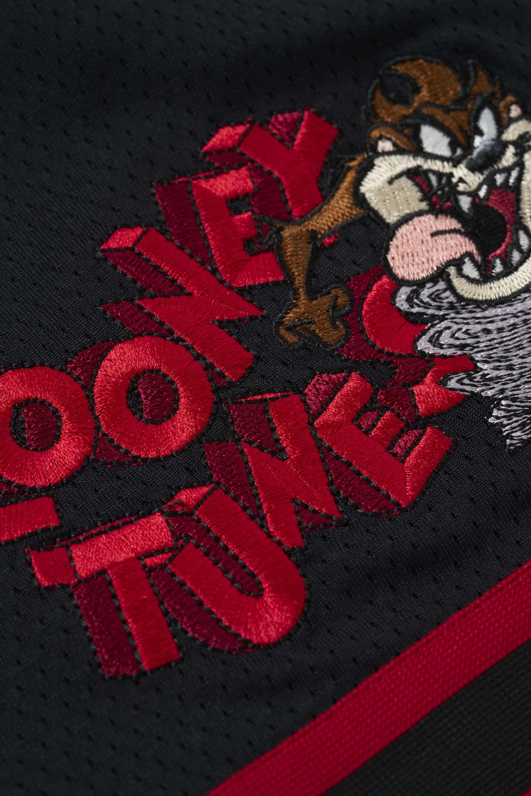 1071 - Looney Tunes Embroidered Patch Shorts - Image 4