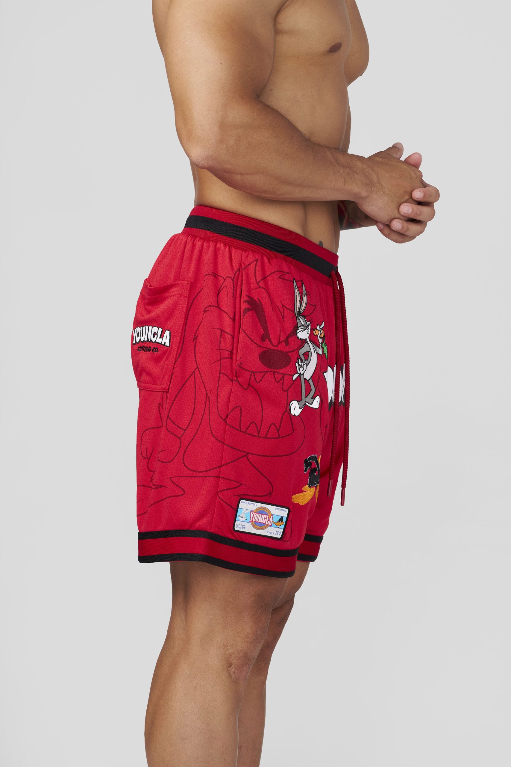 1071 - Looney Tunes Embroidered Patch Shorts - Image 8