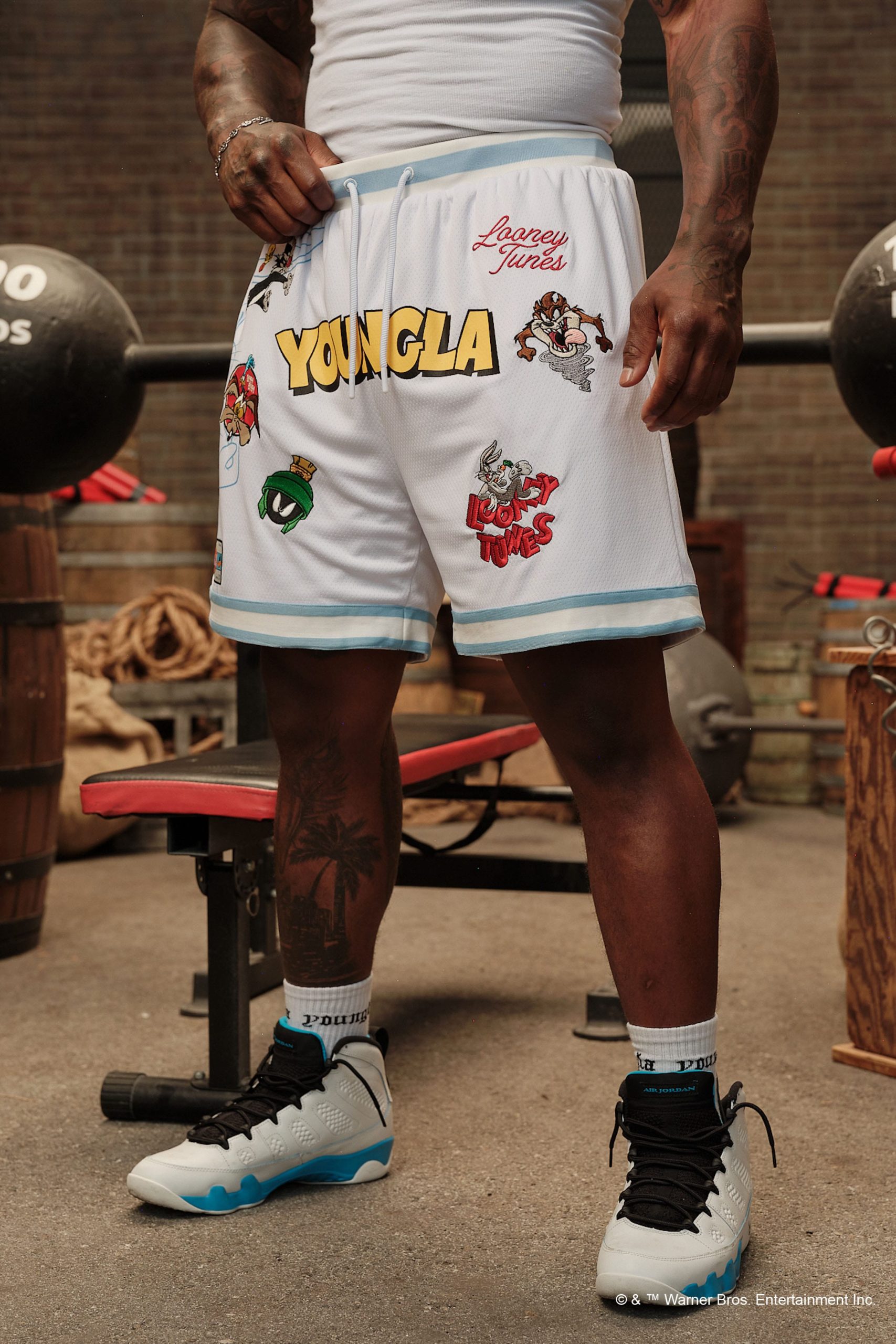 1071 - Looney Tunes Embroidered Patch Shorts - Image 5