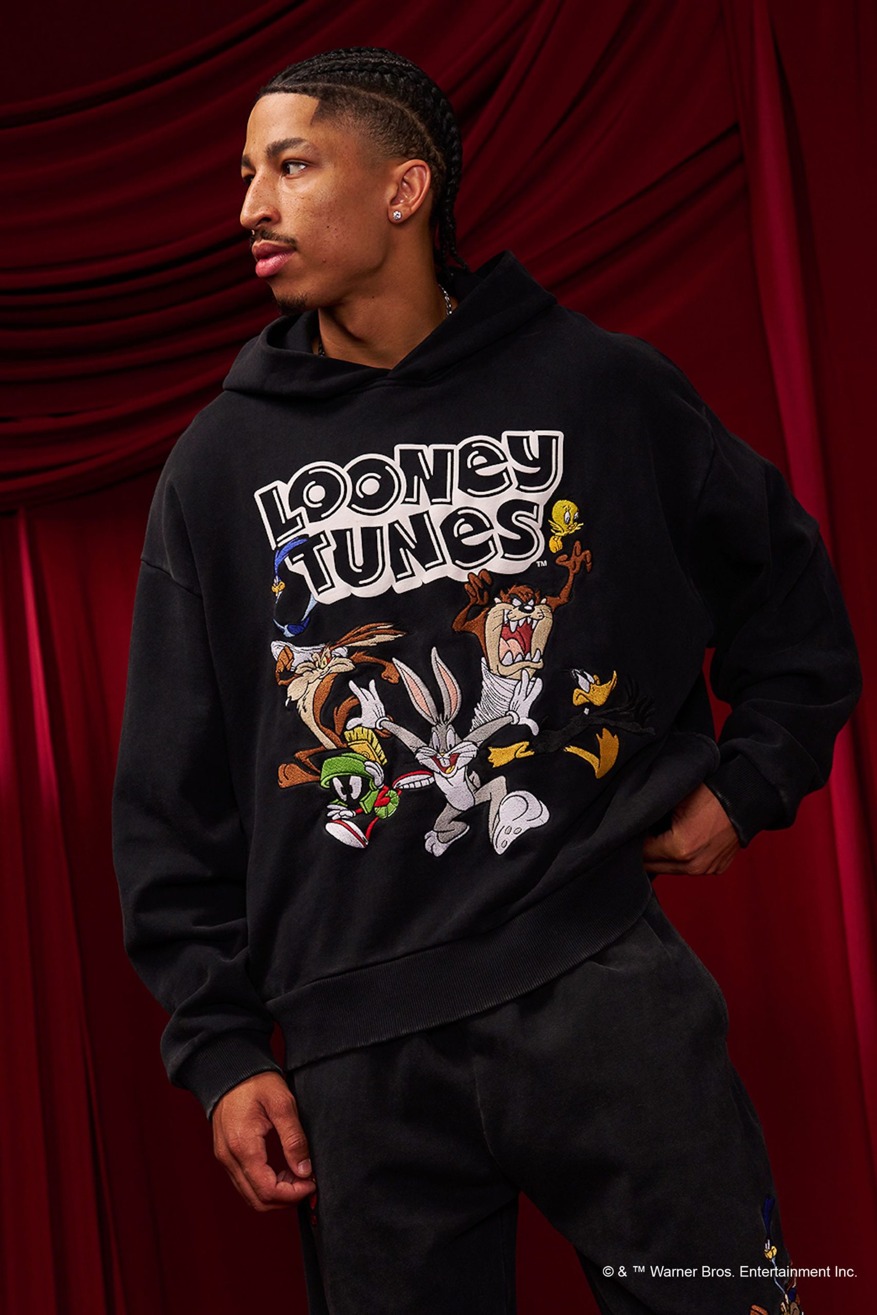 5114 - Looney Tunes Embroidered Hoodies - Image 2